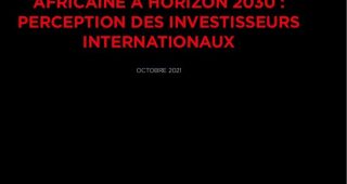 Financer la croissance africaine à horizon 2030 : perception des investisseurs internationaux #PDF Financer la croissance africaine à horizon 2030 : perception des investisseurs internationaux #PDF