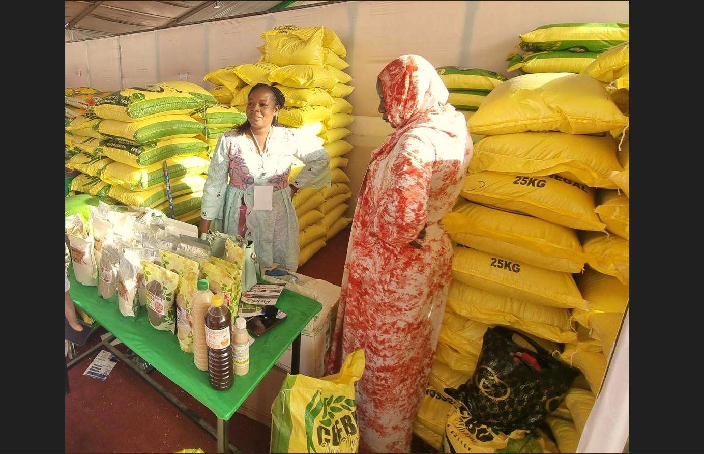 Approvisionnement des structures publiques en riz local : Le Comité Interprofessionnel Riz plaide pour que les instructions du Premier ministre soient suivies d&rsquo;effet